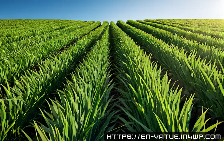 How Leaders Turn Business Value Into Clearer Project Priorities 4 가치 기반 우선순위화의 리더십 역할 관련 이미지 2